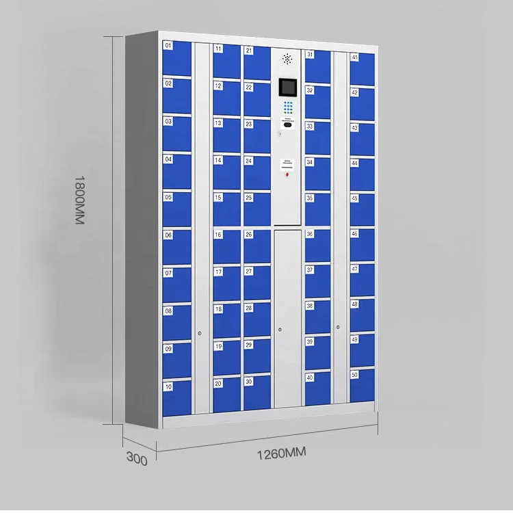 Customized Metal Storage Lockers Phone/Toy Gym Locker Storage Locker with Face Recognition System