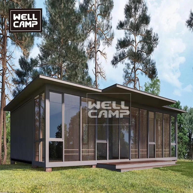 Легкий стальной каркас сборный модуль контейнер для дома красивый роскошный дом высокого качества кухни