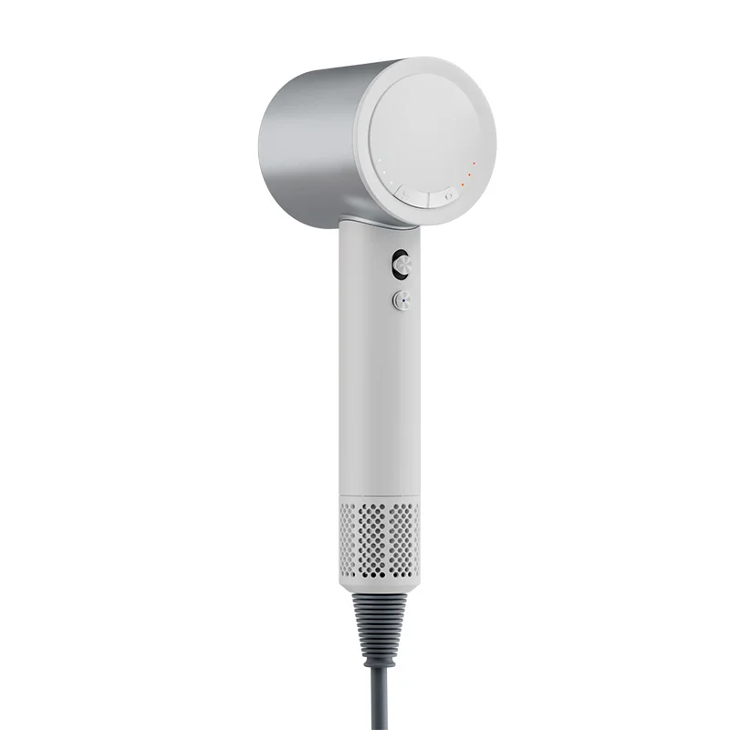 Multifunctional Brushless Plastic High-speed Motor Hair Dryer And Hot Air Brush