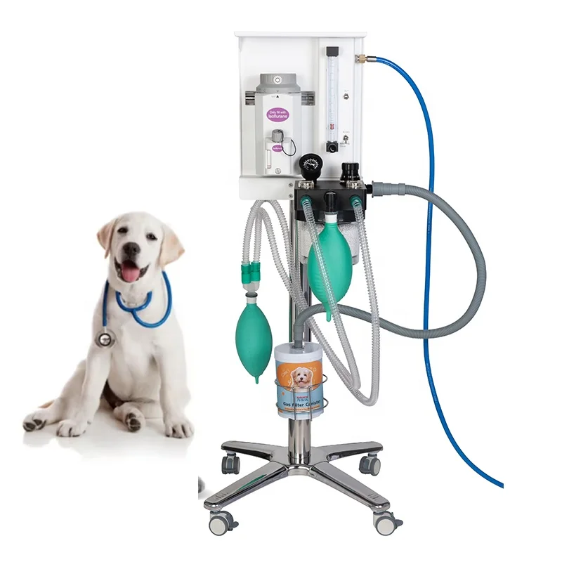 Veterinary Oxygene Concentrator Systems Gas Anesthesia Device Monitor Inhaled Ventilator Veterinary Portable Anesthesia Machine