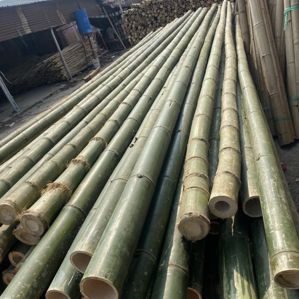 Натуральные Прямые прочные бамбуковые трости, бамбуковые палочки/сырье из бамбука/бамбуковые трости