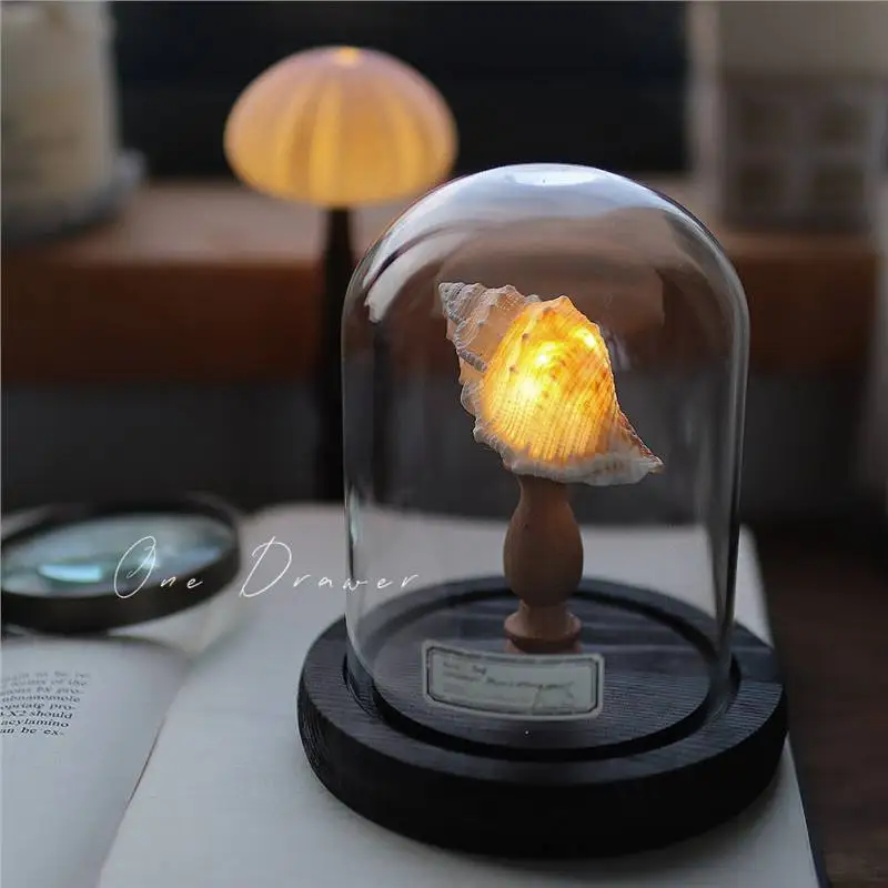 Ocean island retro shell sea urchin conch lamp night light ornaments handmade DIY material package desktop ornaments