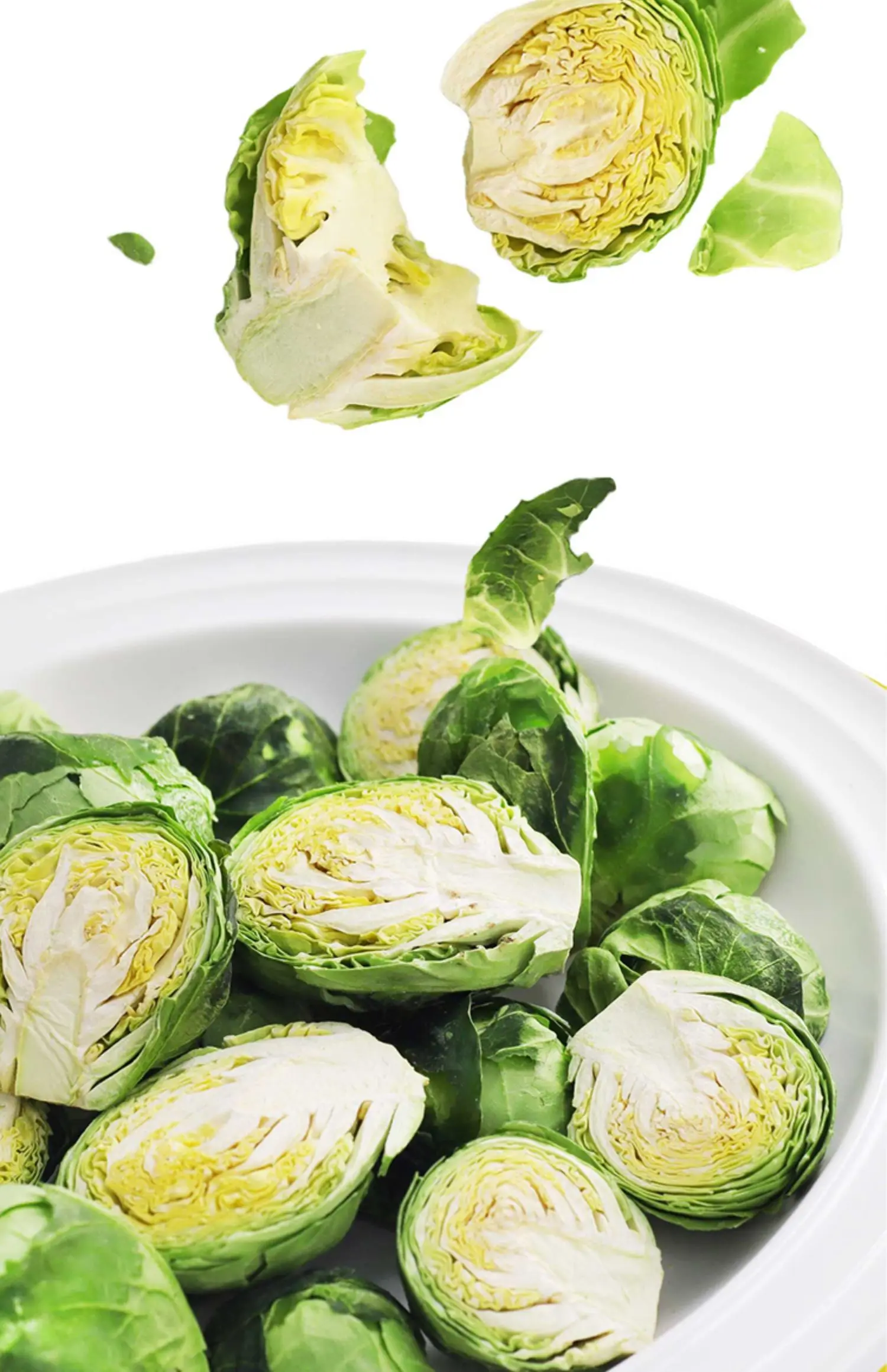 High Quality Organic Spore Cabbage Dried Vegetables with FD & AD Drying Process