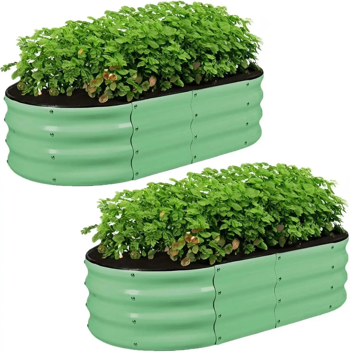 Goods in stock  galvanised raised metal garden bed green white color 110*60*43cm  made in liaocheng  haman