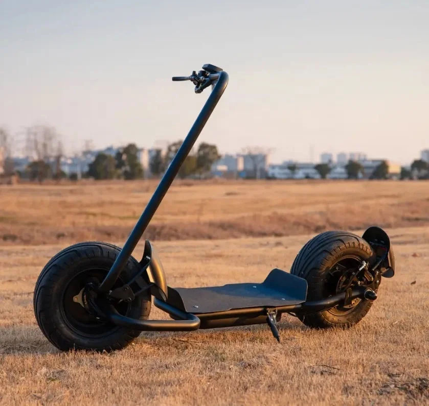 EU/US warehouse China Mobility Eu Warehouse Two Big Wheels fast Electric Scooters scooter canada 3000w citycoco 5000w citycoco