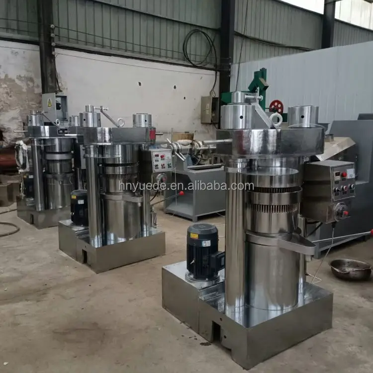 50KG/H Cocoa Almond Sesame Moringa Seed Oil Extraction Machine Oil Press Hydraulic Cold Press Oil Machine