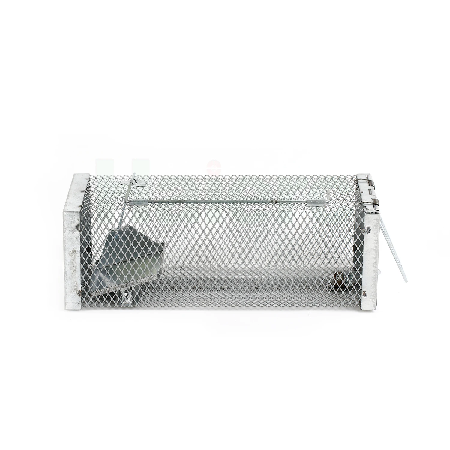 Haierc Mice Trap Cage Rat Trap Cage Rat Trap Catching Mice Mouse