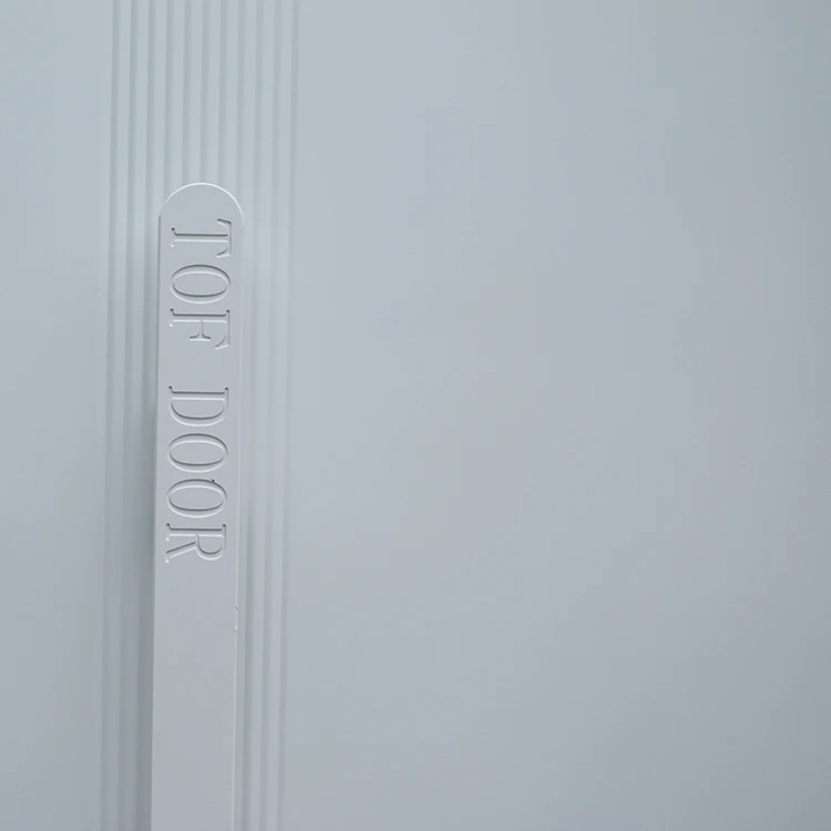 Customized Modern Exterior Metal panel Doors Simple Security Front Entry Steel China Main Door for Home Houses Inside