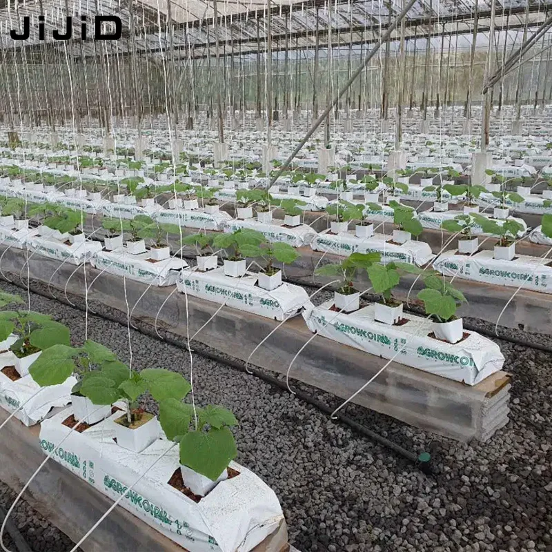JIJID Agriculture Greenhouse coco coir Grow Bags for Plants Hydroponics Strawberry Gutter System With Irrigation fittings