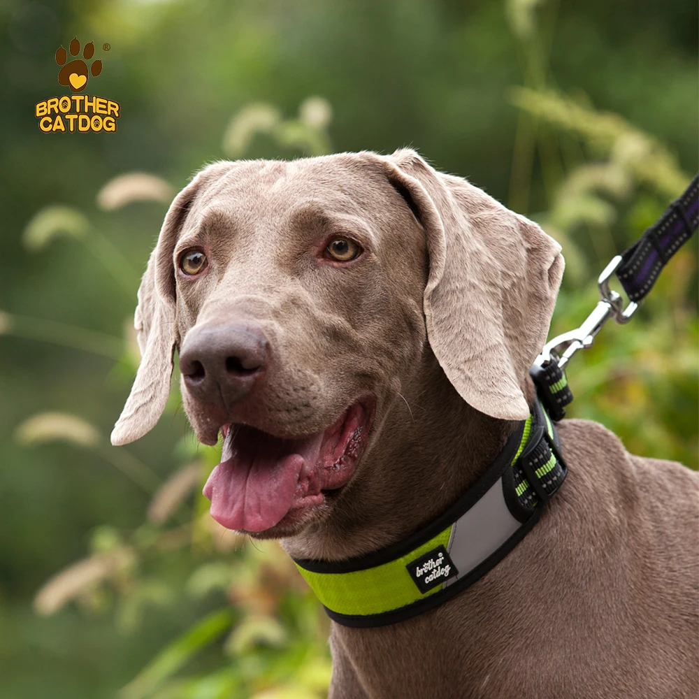 wholesale pet outdoor products  Personalized reflective dog collars Travelling hiking breathable dog collar