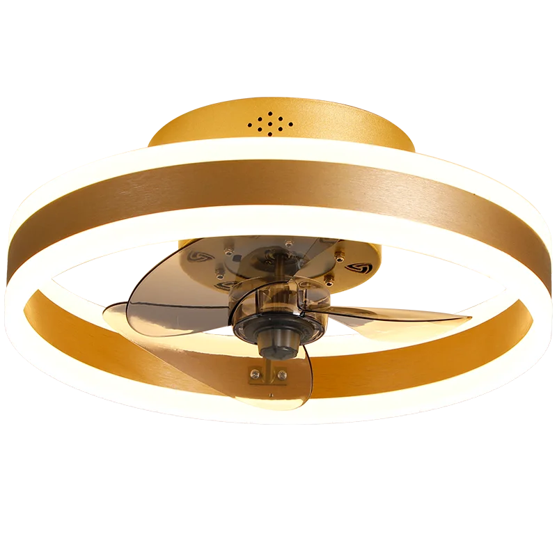 Bada Simple Indoor Installation Of Energy-saving Decorative Lighting Led Ceiling Fan Luminous Lamp Ceiling Fans