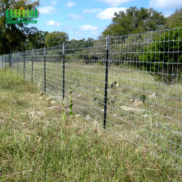 High Quality Bitumen Painted Galvanized 12 Foot Metal Fence Posts