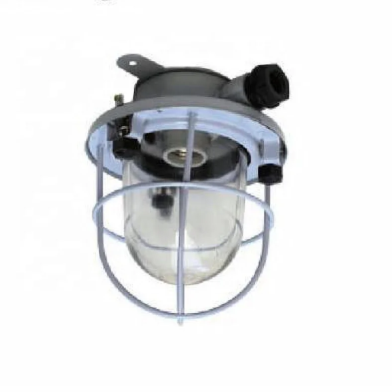 The cost-effective Products ,Marine Light CCD1-2 Incandescent Pendant Light, The series of incandescent light for Boat