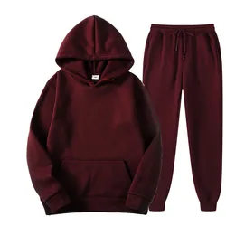 Wholesale High Quality Custom Logo Comfortable Cotton Polyester Plain Blank Oversized Mens Crop Hoodie Sets