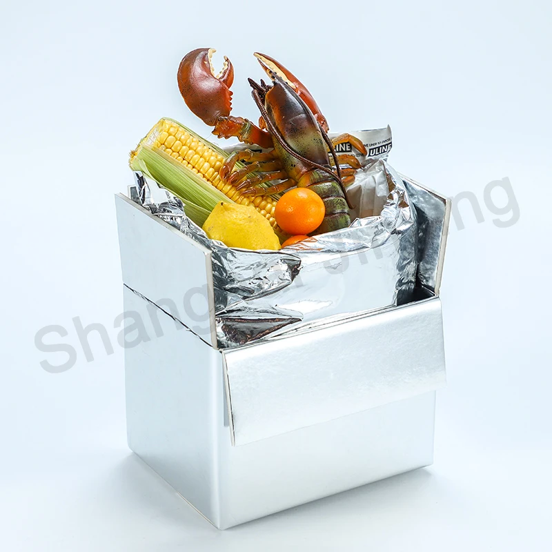 Insulated Packaging for Food Delivery Isothermic Bags,Fast Food Bag,Aluminum Foil Bag Sliver Foam Box Liners