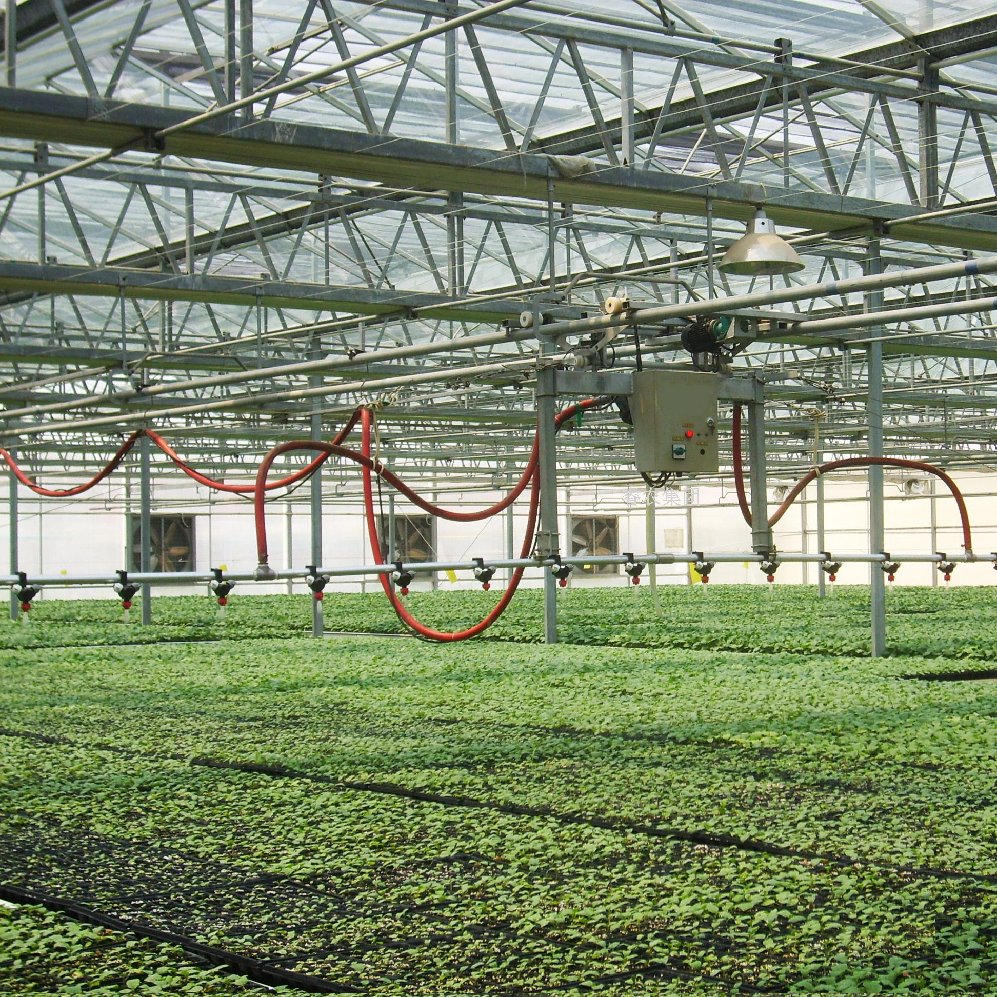 High-efficiency irrigation machine Greenhouse Mobile Sprinkling irrigation System