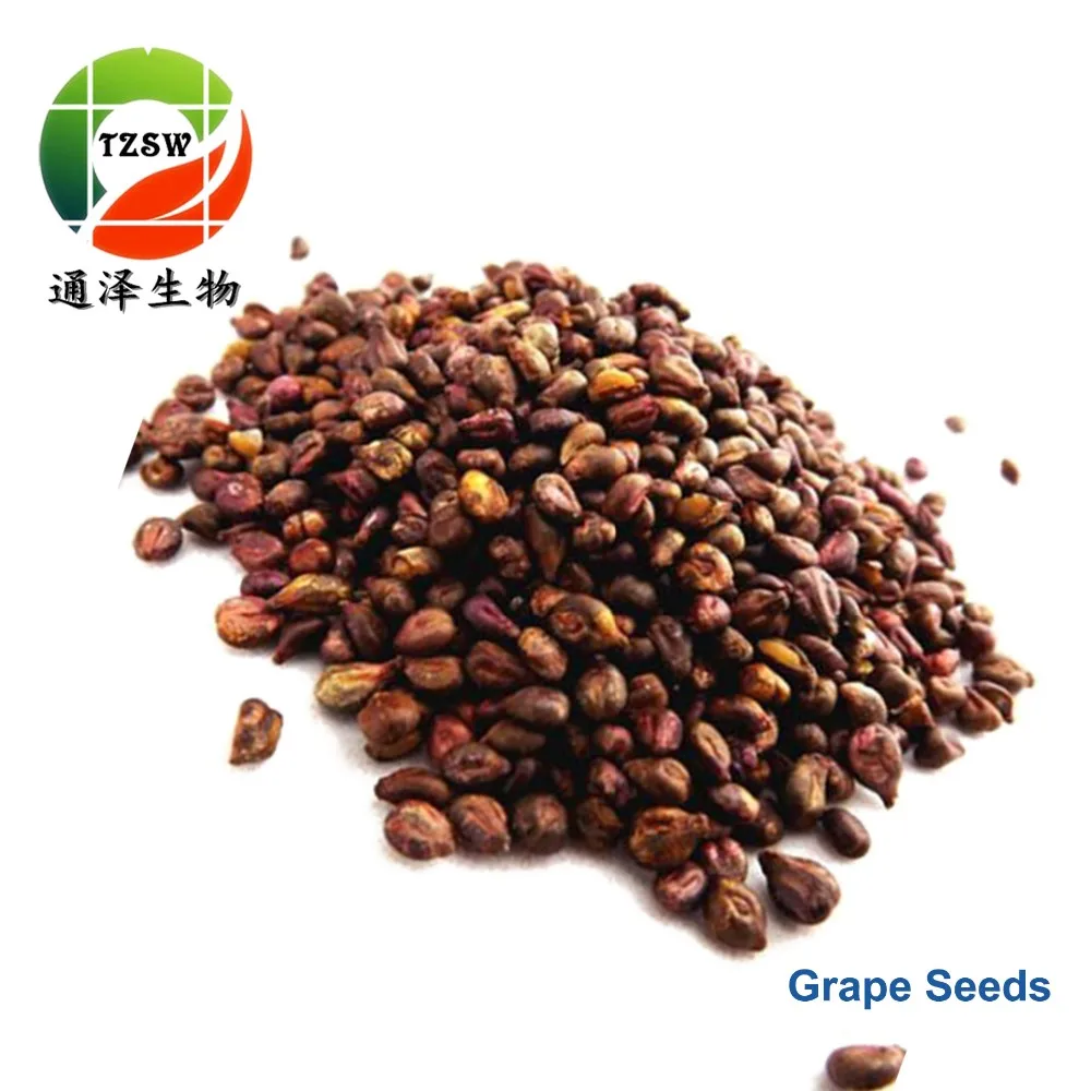 
Grape Seed Extract Procyanidine 99% 