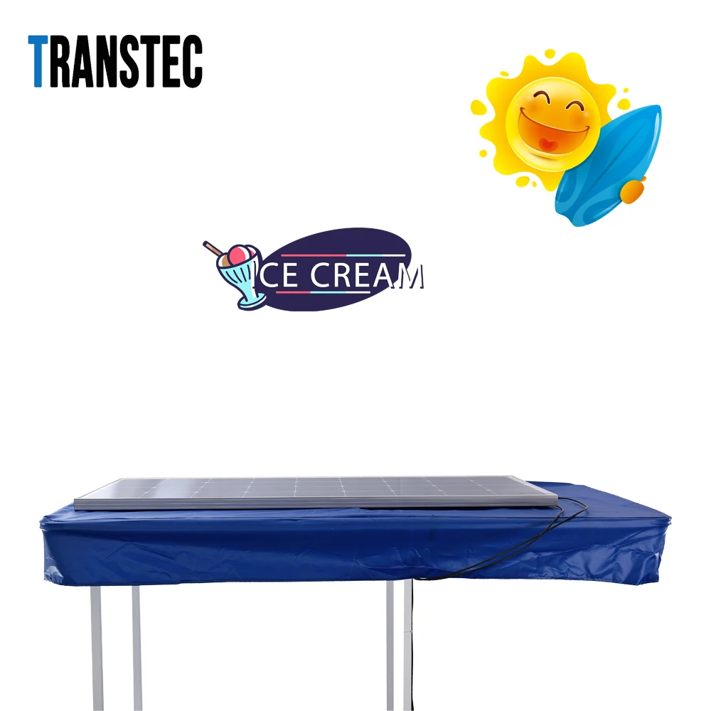 Direct Manufacturer 3 Wheel Electric DC 12V 24V solar powered Ice Cream Cart Display Tricycle Cargo Bike With Umbrella 100L 200L