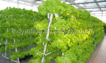 Agricultural NTF Hydroponic Growing System