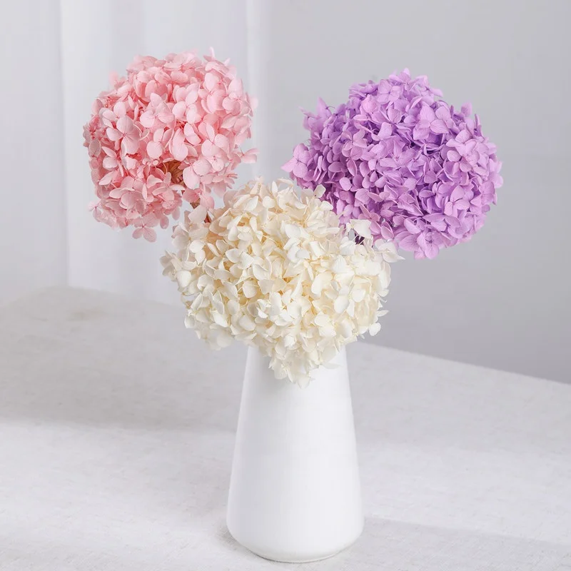 wholesale cheap price real natural preserved hydrangea flower small size Anna preserved hydrangea for floral arrangement