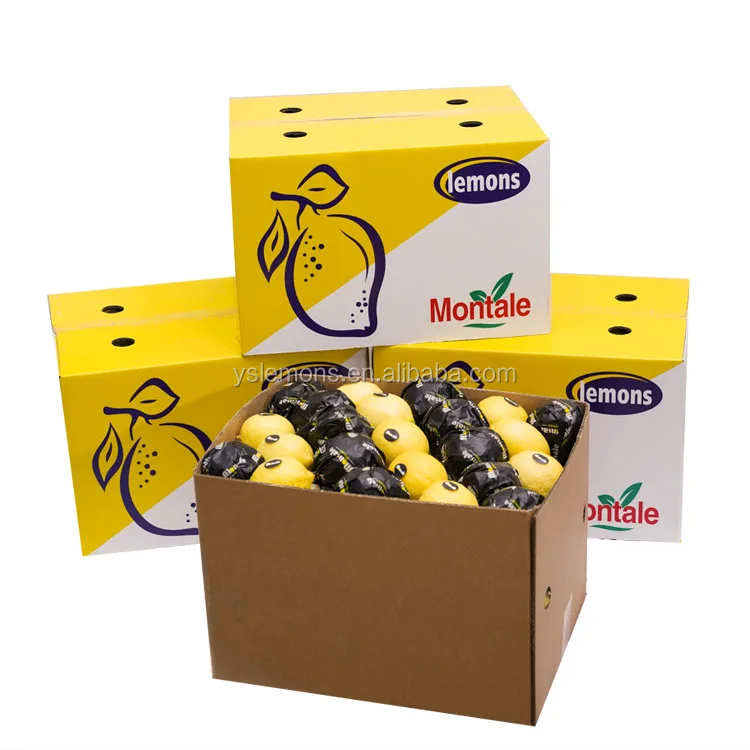 
Montale Farm Directly Provide Citrus Price Of Fruit Yellow Lemon 