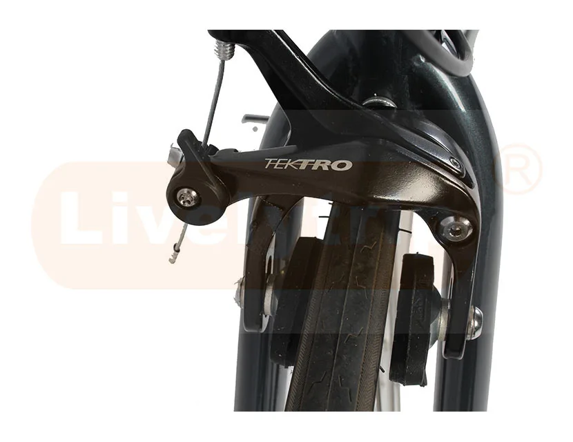 250w rear motor electric bike fix bicycle with single speed and steel frame