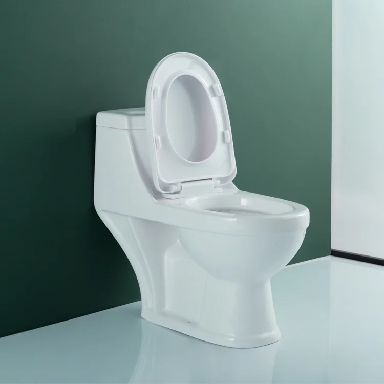 WDSI Guangzhou Toilet Two Piece Western Toilet Huida