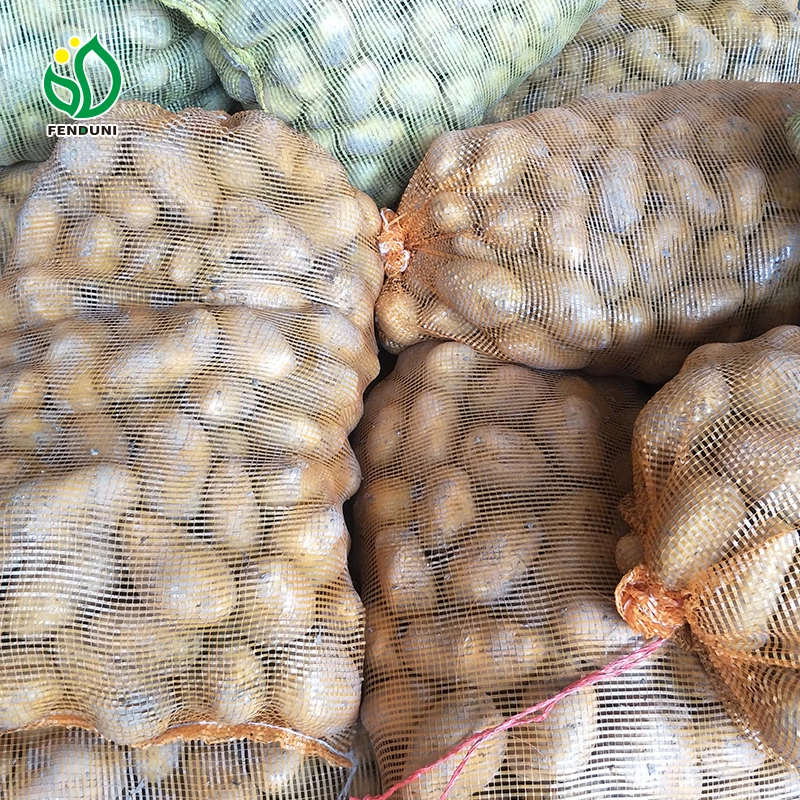 New crop fresh organic vegetables wholesale potato price of potato in bulk for export in China