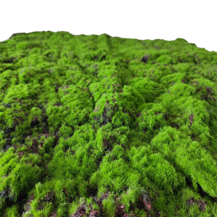 Искусственный мох для украшения окон, Искусственный мох из хлопка, Искусственный мох для стен, жемчужный зеленый пластик