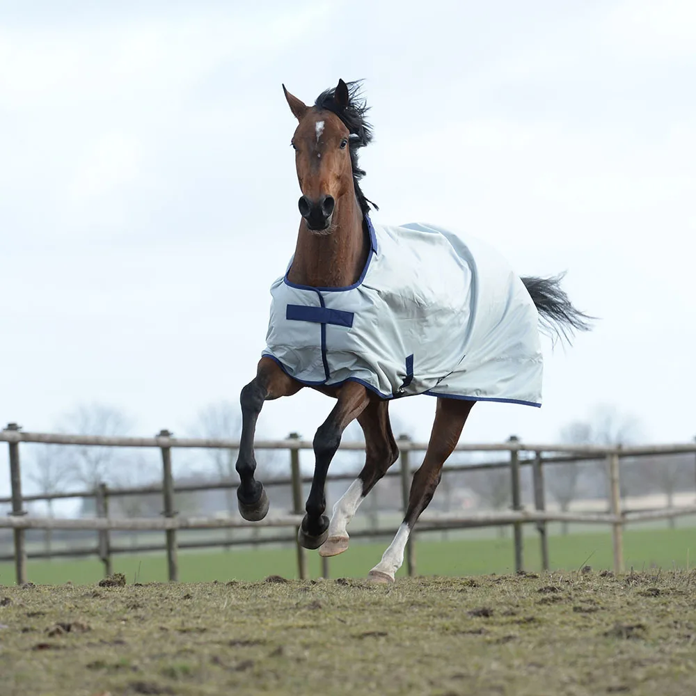 Spring and Autumn Training Horse Blanket Rugs wholesale standard neck horse rugs