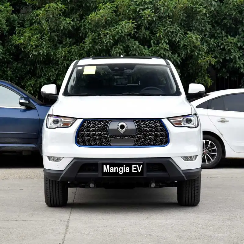 2023 China Electric Vehicle Great Wall Pao High Quality New Car for Sale Made in China 4-wheel Electric Pickup