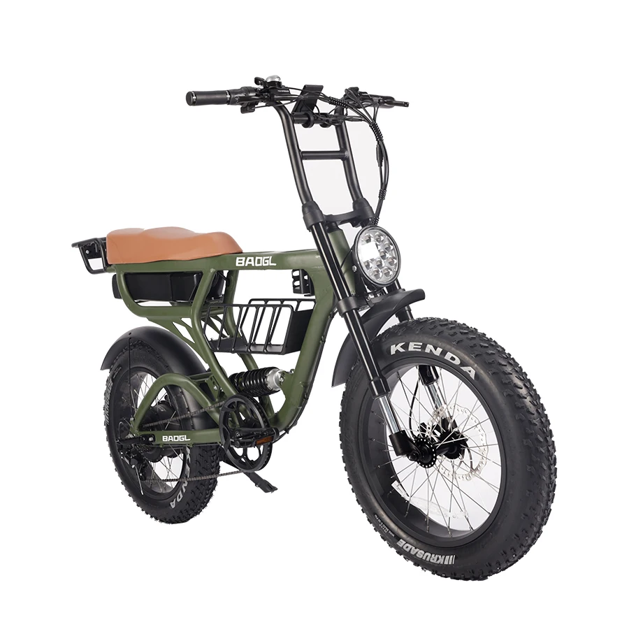 cheap new design electric bicycle for adults