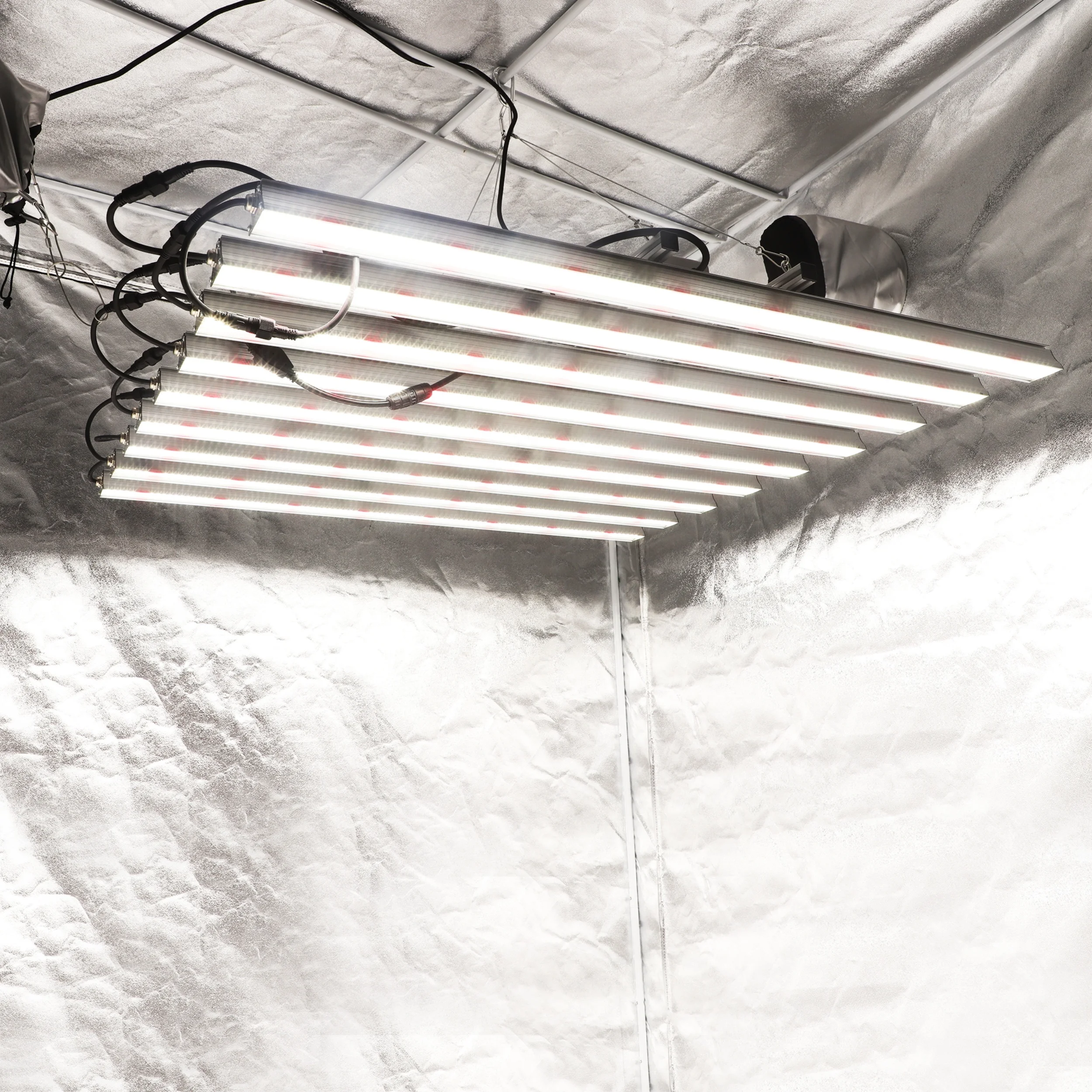 Fine Grow Lights 800W Full Spectrum LM301H LED Grow Light Sunlights For Indoor Plants