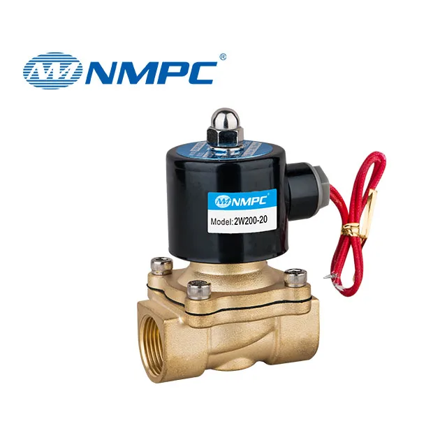 1/2 inch 2W160-15 2/2 Way Direct Acting Solenoid DC12V 24V AC 220V Brass Water Solenoid Valve