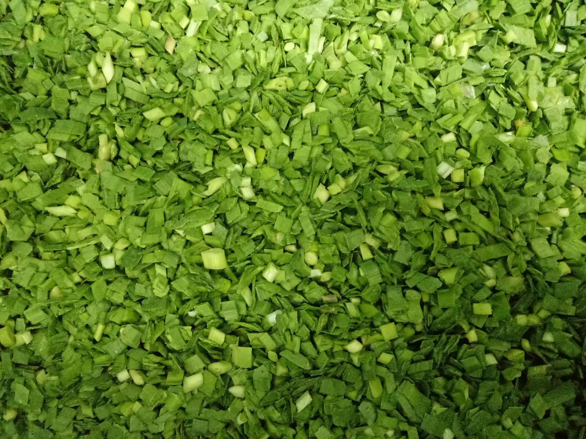 high quality cut iqf frozen chinese leek