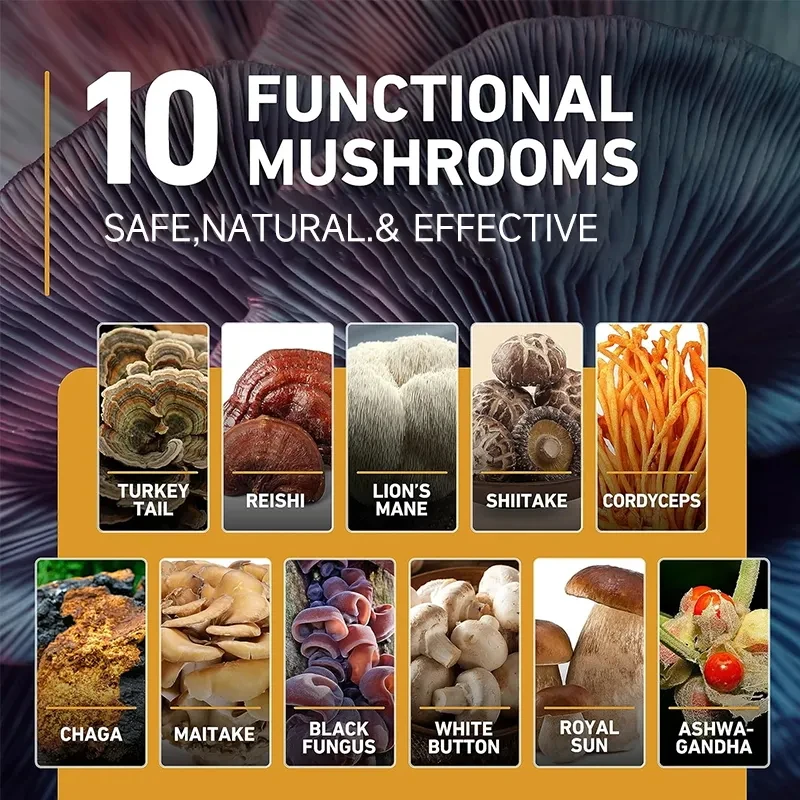 10 in 1 Mushroom Gummies For Focus Supply Private Labels Organic Mushroom Gummy