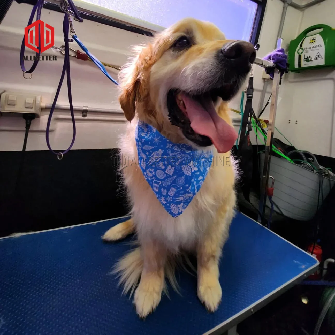 Original Pet Or Vans Professional Mobile Dog Grooming Trailers