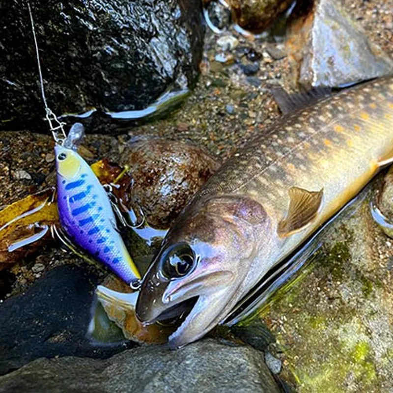 NEWMAJOR 55mm 4.7g Hardcore Fishing Lure LG Heavy Minnow Wobbler Sinking Jerkbait Swimbait Artificial Hard Bait for Trout Bass