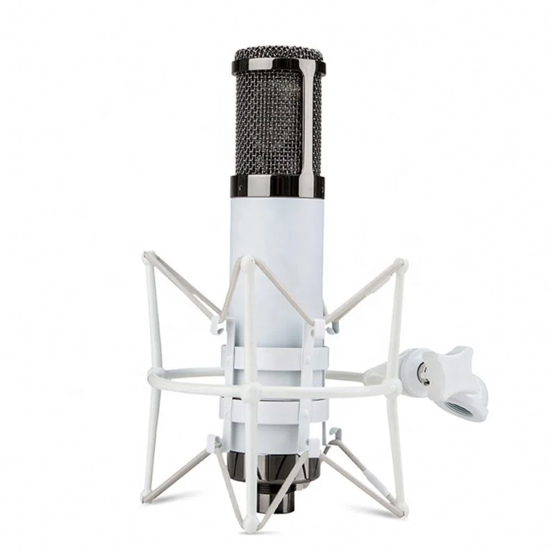 Professional Large Diaphragm Vocal Microphone For Studio Recording