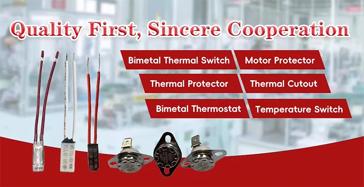 Thermal Protector