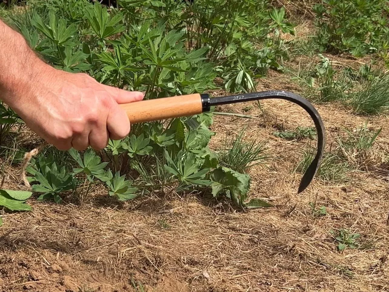 Garden hook Weed Puller Tool  Garden weeder Hand Cultivator Cobra Head Original Weeder, Edging Tool