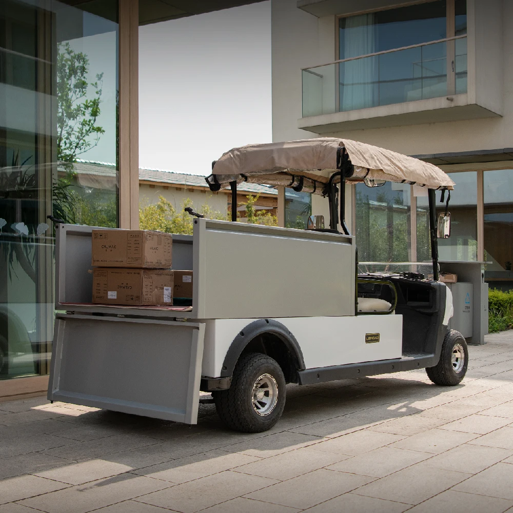 Leroad L2 Golf Cart 2 Seat utility cart Aluminum cargo box Electric new energy lithium battery  truck shuttle 2 special vehicle