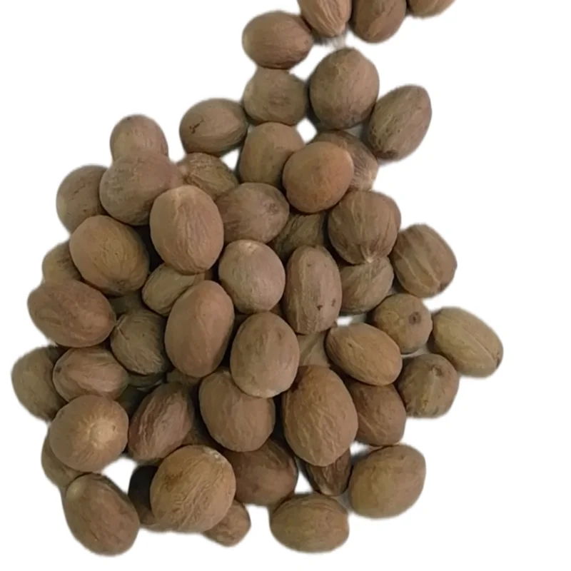  2021 High quality new arrival organic nutmeg nutmegs in low