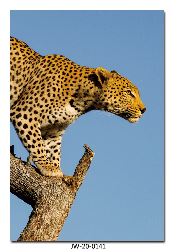 Waterproof high resolution custom canvas printing from animal photo stretch ready to hang cheetah painting