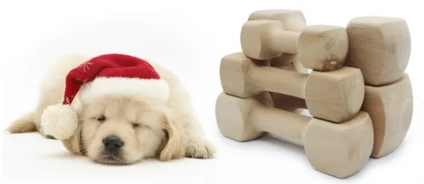 Pet dog chew wooden bone toys