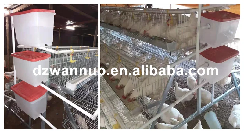 Hot sale layer chicken cage for Kenya/Nigeria/Tanzania/Uganda farm