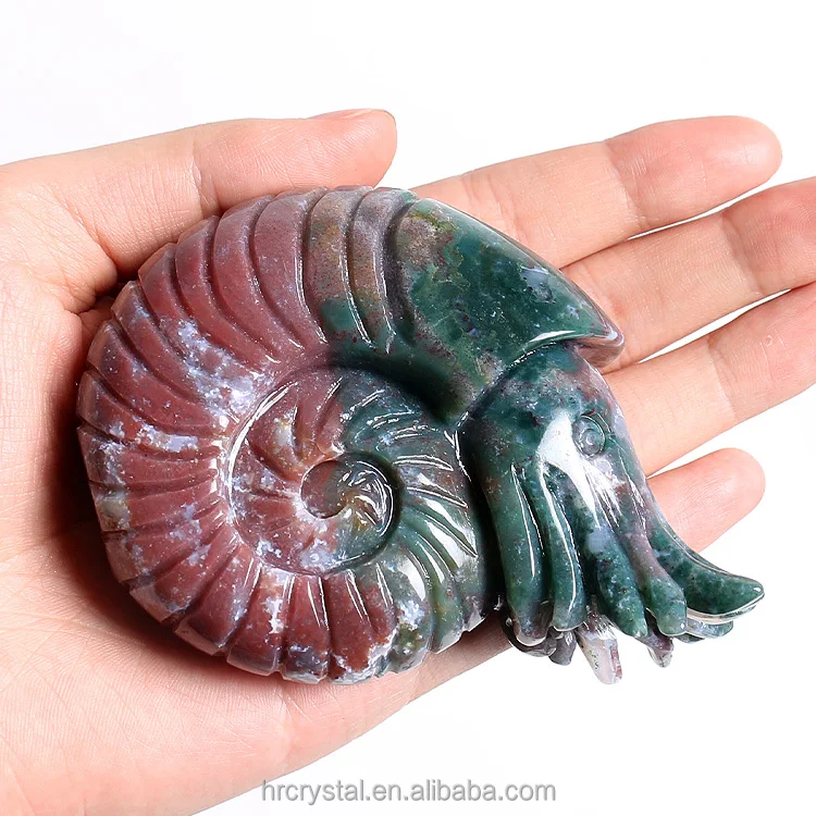 Healing Decorative Crystal Crafts Colorful Indian Agate Crystal Nautilus Carving for Sale