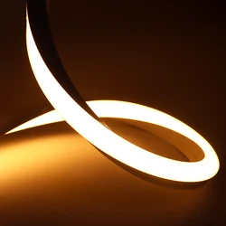 Manufacturer Strip 24V Addressable Dmx 12 Neon Led 5 Metros