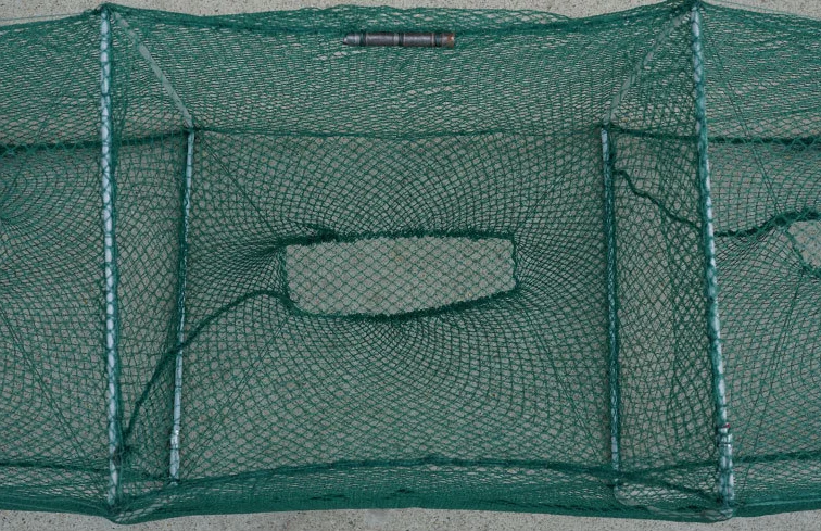 1 (10).png