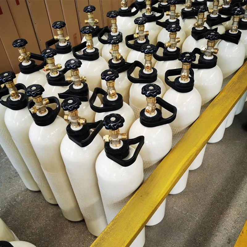 2021 Hot sale 9L/10L Storing Liquefied Gas Oxygen/CO2 Storing Gas Cylinder Gas Tank For Mountaineering